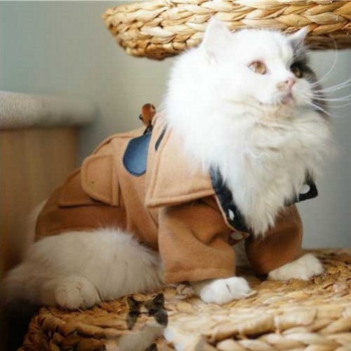 Woolen Jacket Trench Winter Pet Clothes