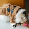 Woolen Jacket Trench Winter Pet Clothes