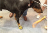 Waterproof Non-Slip Rain Boots For Big Dogs 